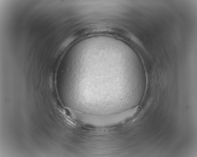 X0000064040777200602101423