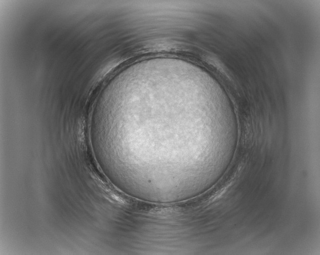 X0000064040778200602101423