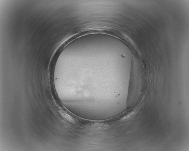 X0000064040779200602101423