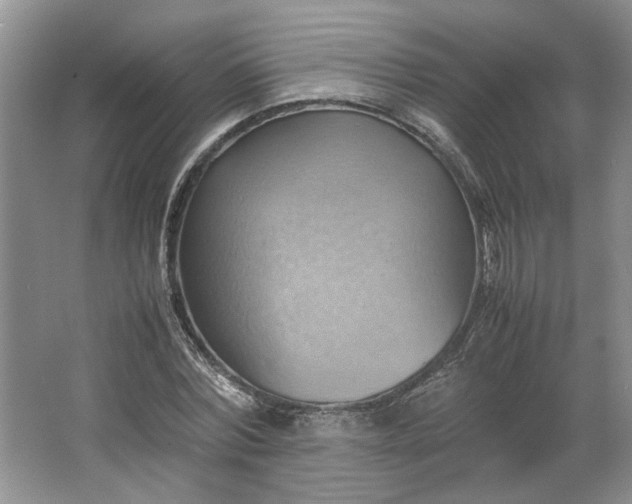 X0000064040780200602101423