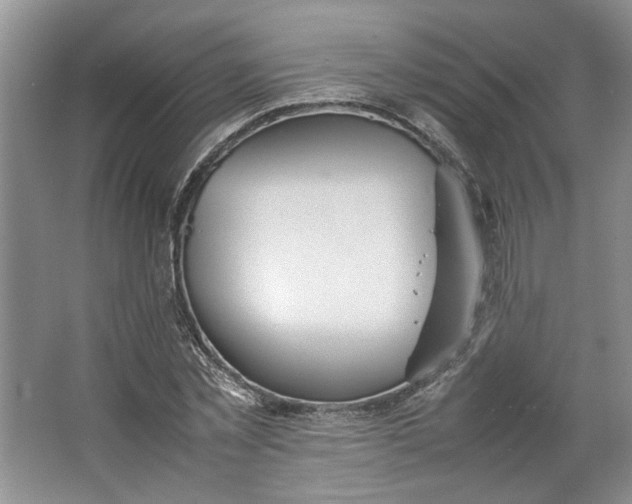 X0000064040781200602101423