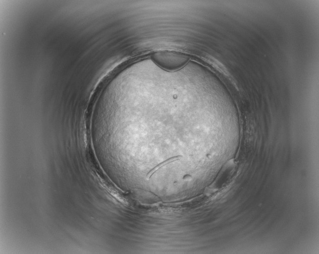 X0000064040782200602101423