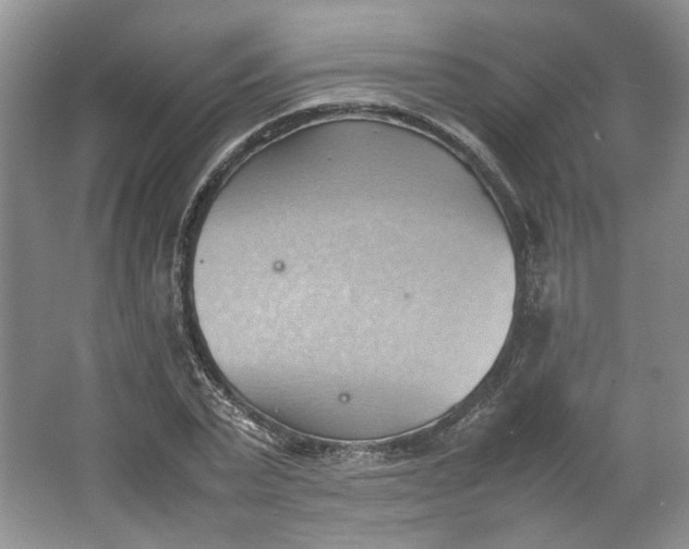 X0000064040783200602101423