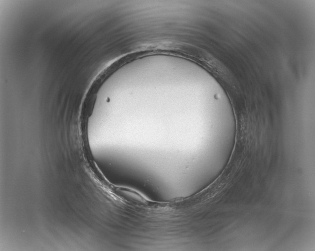 X0000064040784200602101423