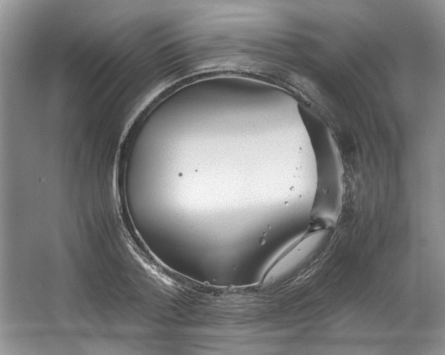 X0000064040788200602101423