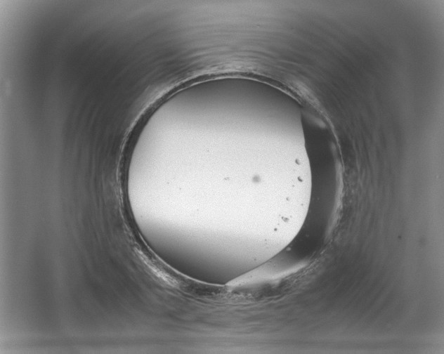 X0000064040789200602101423