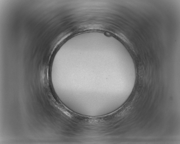 X0000064040790200602101423