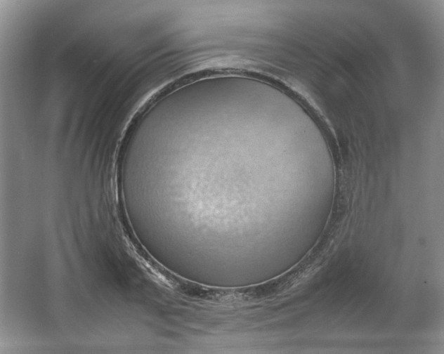 X0000064040791200602101423