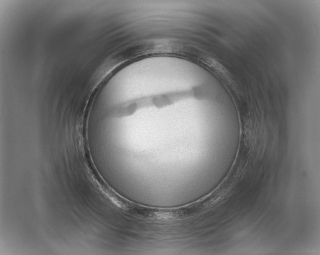 X0000064040794200602101423