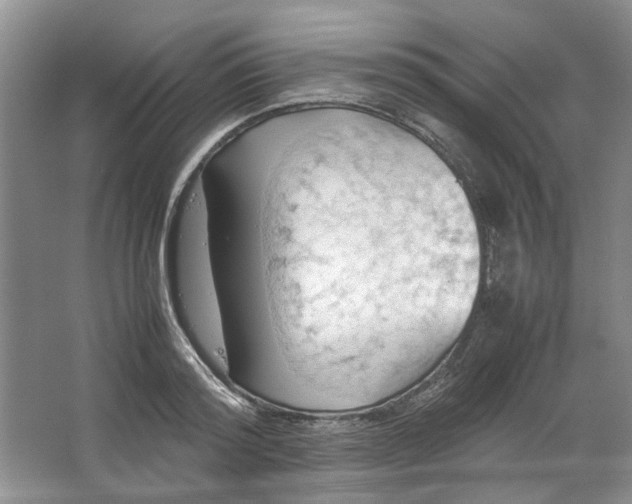 X0000064040796200602101423