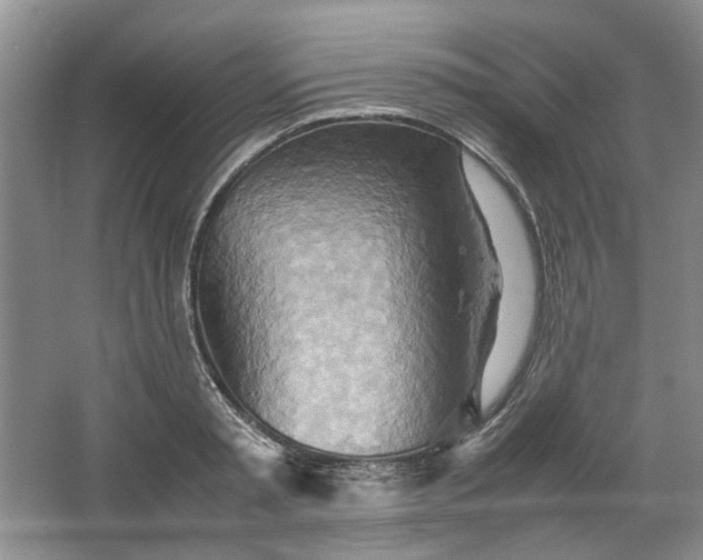 X0000064040797200602101423