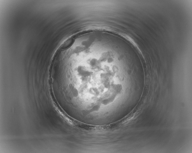 X0000064040799200602101423