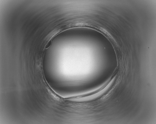 X0000064040801200602101423