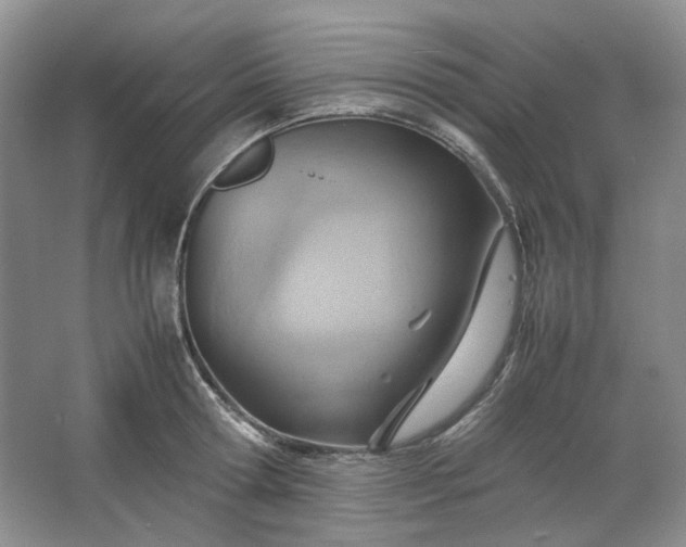 X0000064040802200602101423