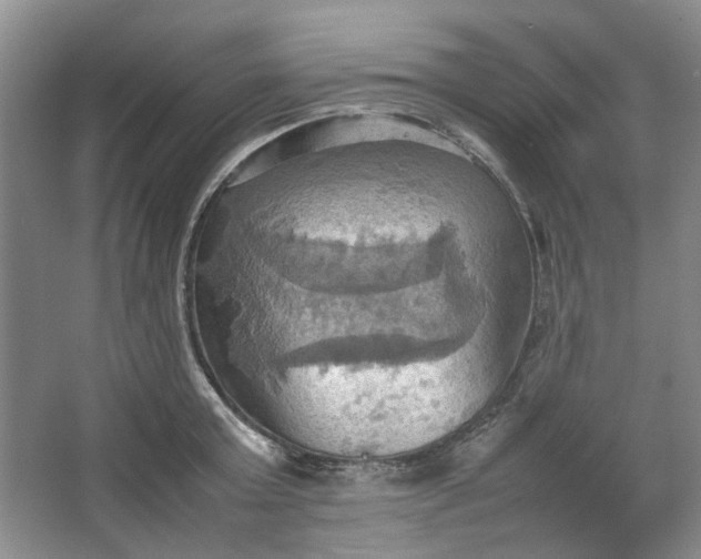 X0000064040803200602101423