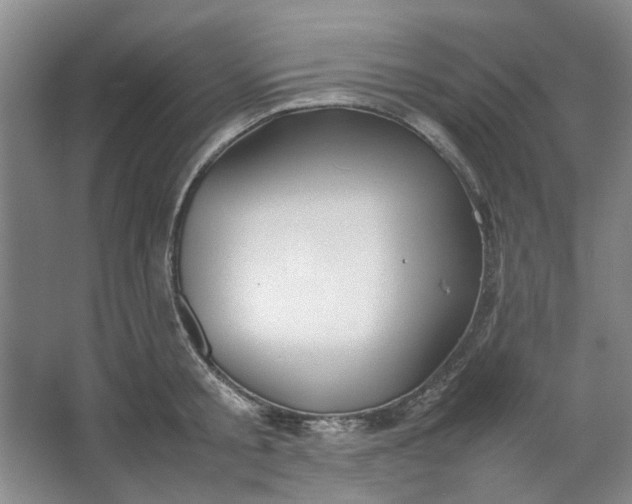 X0000064040805200602101423