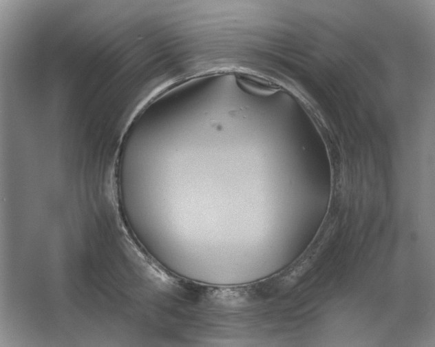 X0000064040806200602101423