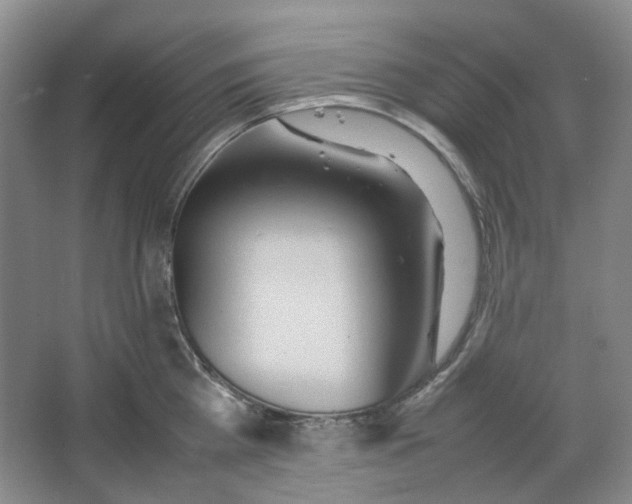 X0000064040809200602101423