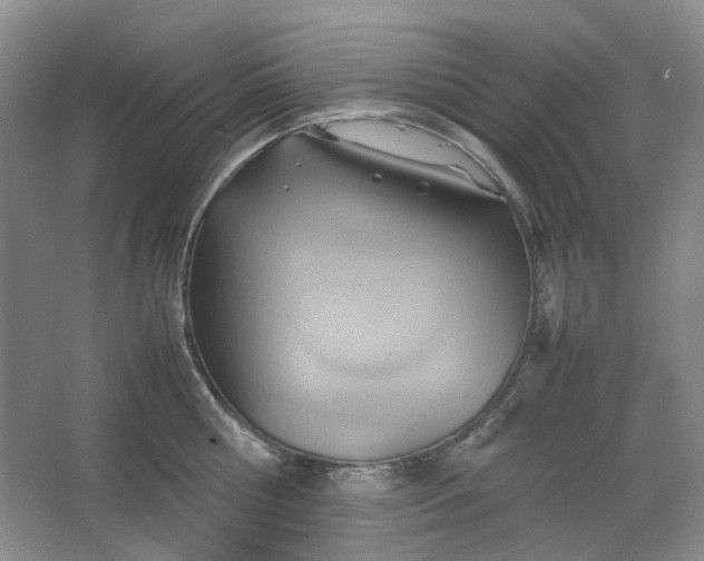 X0000064040810200602101423