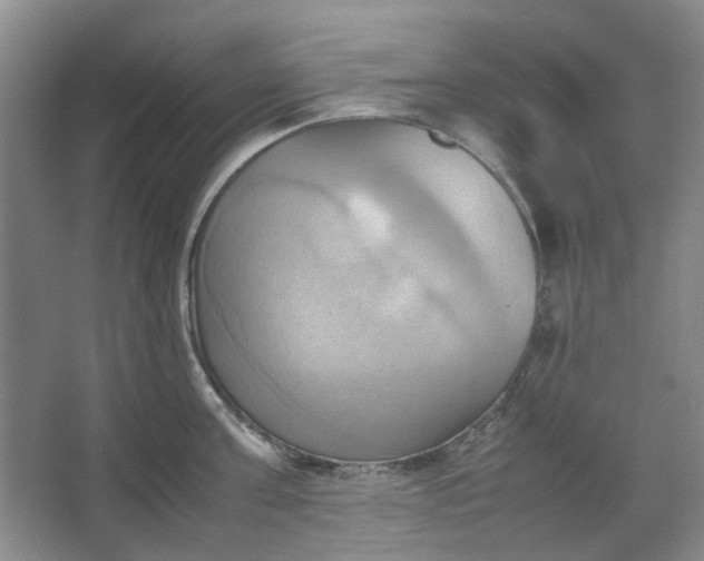 X0000064040811200602101423