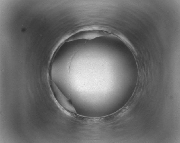 X0000064040813200602101423