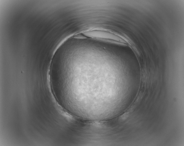 X0000064040814200602101423