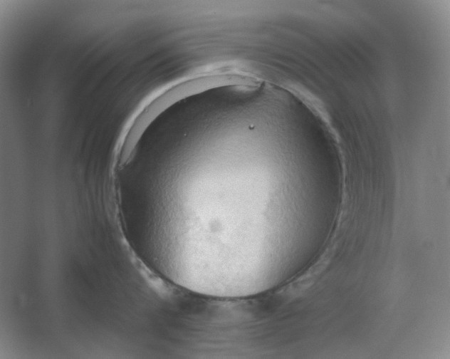 X0000064040816200602101423