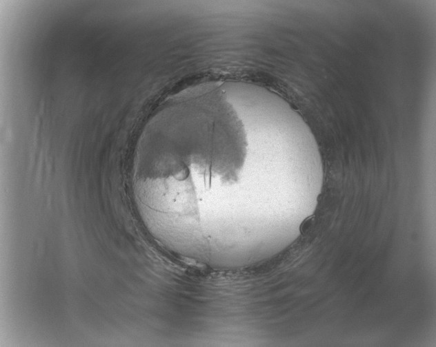 X0000064040817200602101422