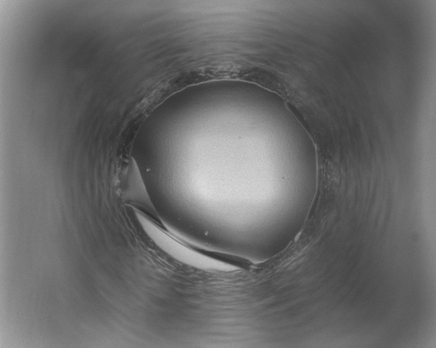 X0000064040818200602101422