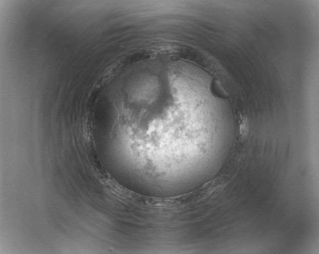 X0000064040819200602101422