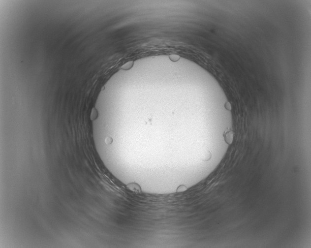 X0000064040820200602101422