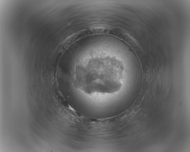 X0000064040821200602101422