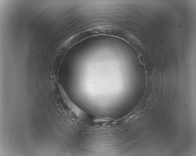 X0000064040822200602101422