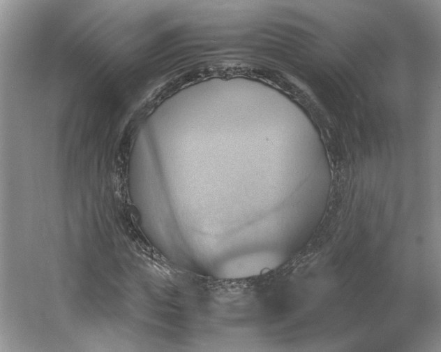 X0000064040823200602101422