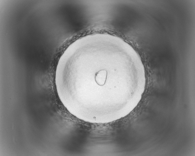 X0000064040824200602101422