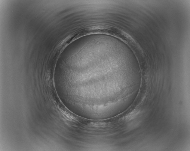 X0000064040825200602101422