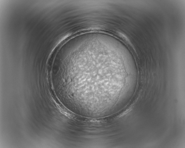 X0000064040827200602101422