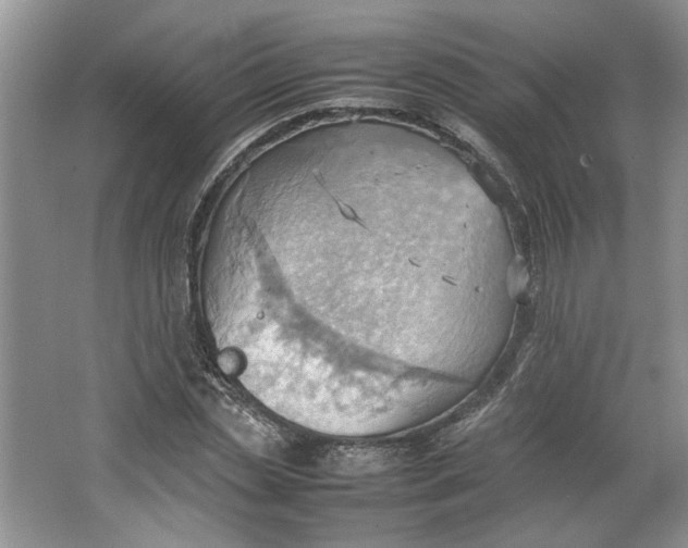 X0000064040829200602101422