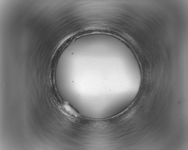 X0000064040830200602101422