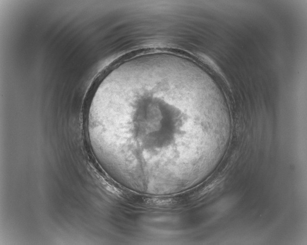 X0000064040831200602101422