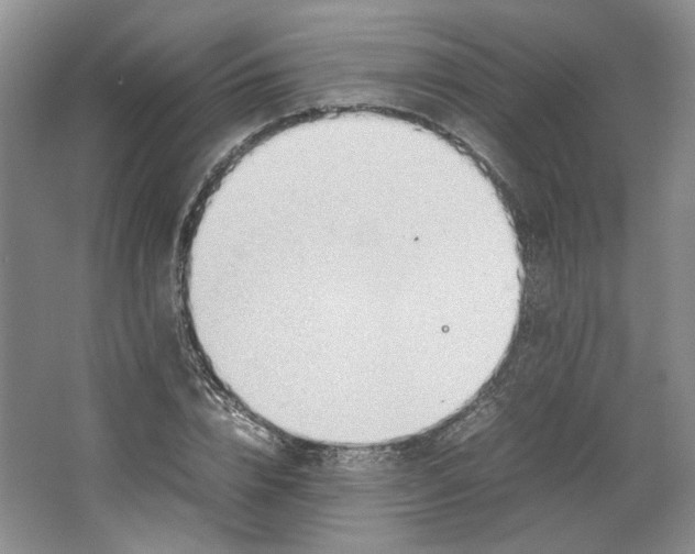 X0000064040832200602101422