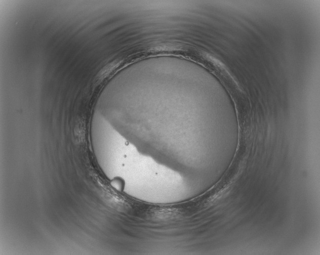 X0000064040833200602101422