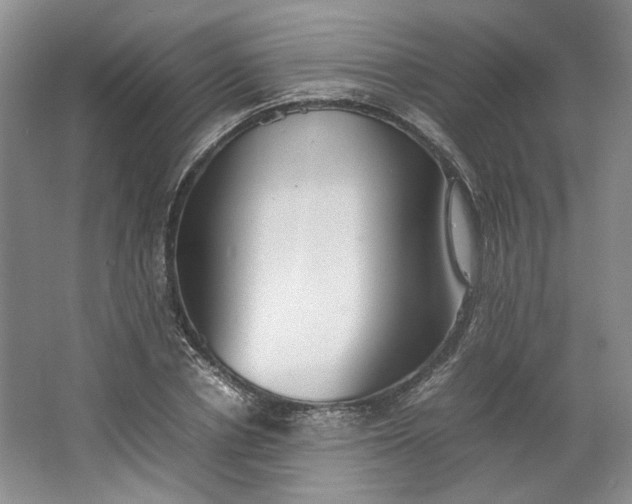 X0000064040834200602101422