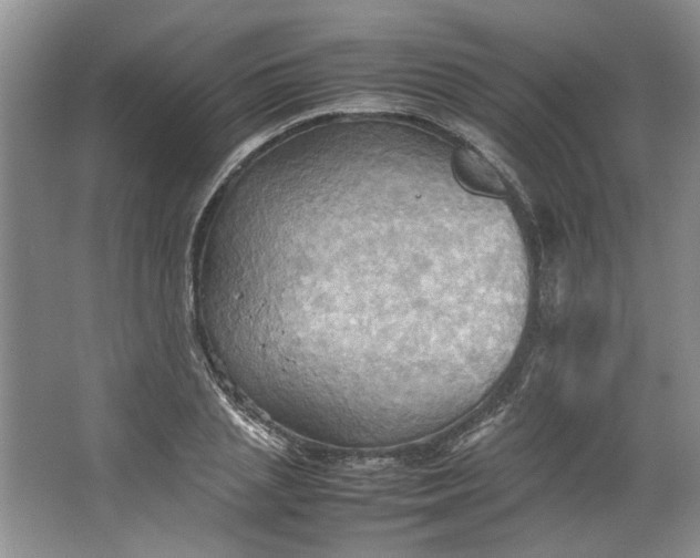 X0000064040837200602101422