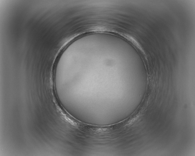 X0000064040839200602101422