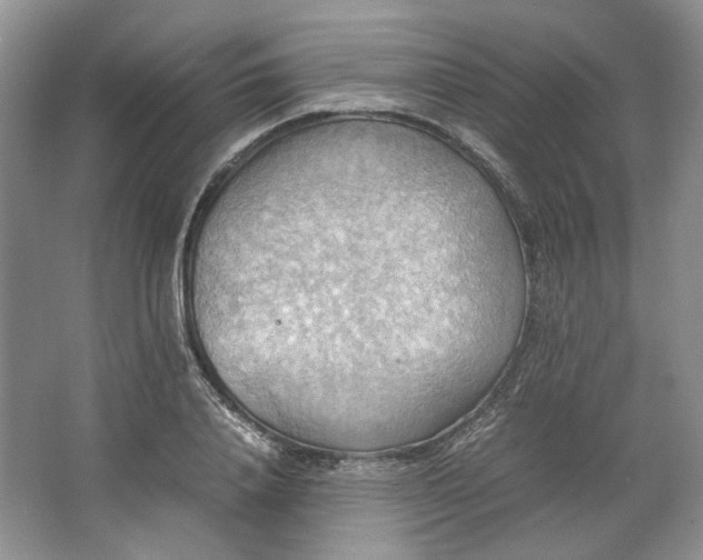 X0000064040840200602101422