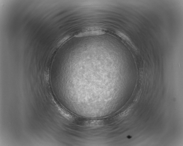 X0000064040841200602101422