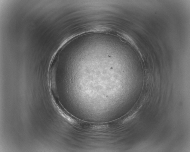 X0000064040843200602101422