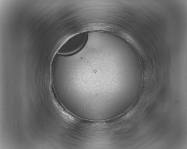 X0000064040844200602101422