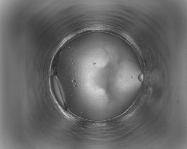 X0000064040845200602101422